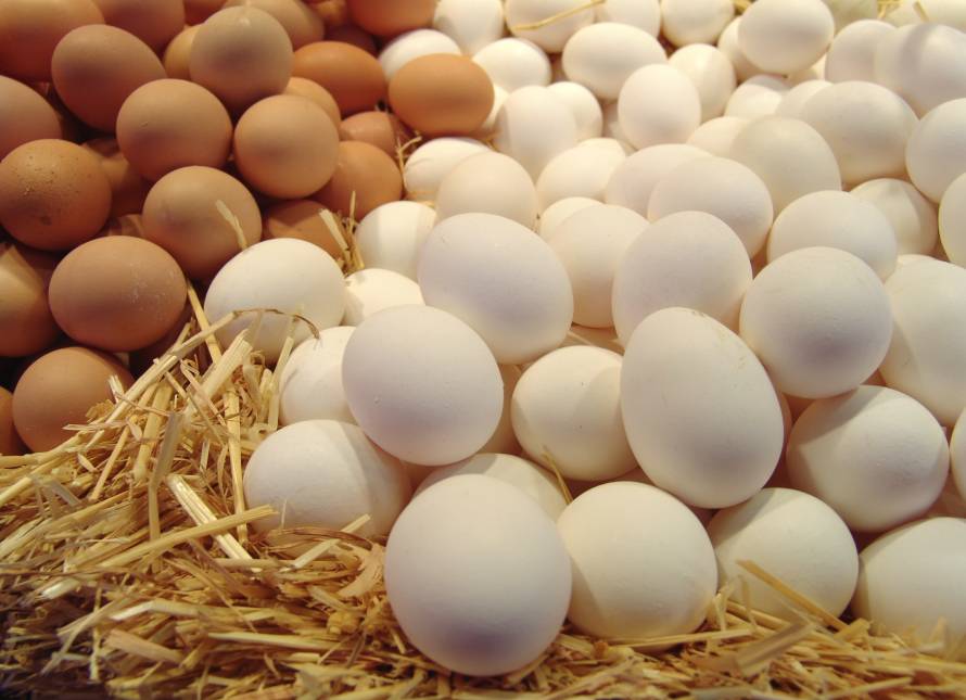 Куры и яйца в России дешевеют третий месяц подряд